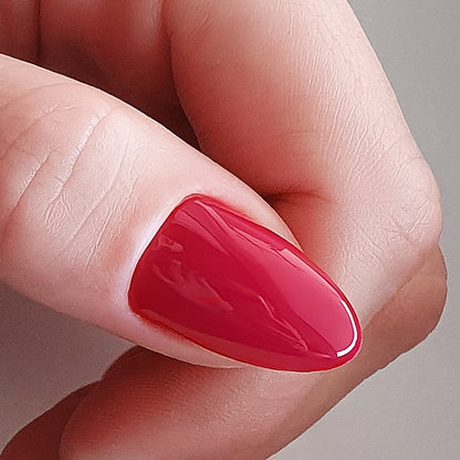 BSG Colloration HARD №17 - Classic Dark Red (20 mL / 0.68 fl oz)